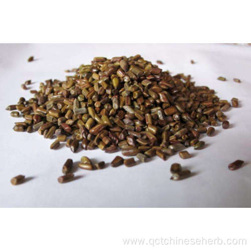 Natural High Quality Cassia Seed